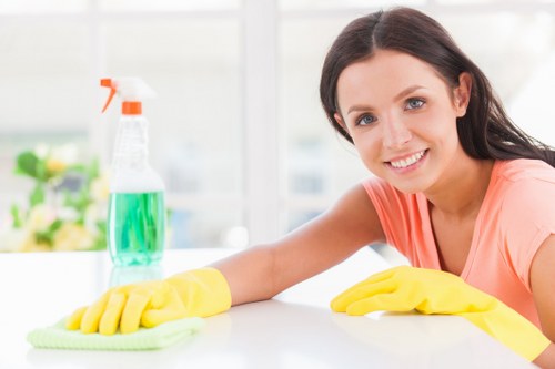 Professional Kentish Town cleaners working in a modern home interior