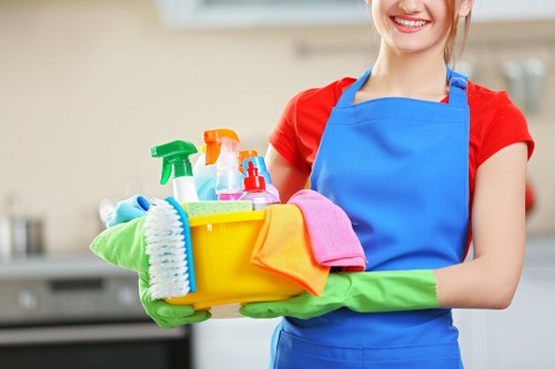 Domestic cleaning in a modern living room with tidy surfaces