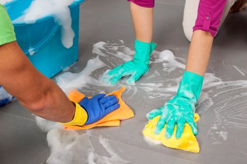 Move out cleaning supplies arranged for a home cleaning task