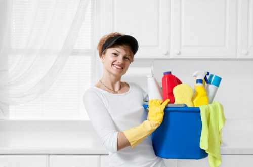 Deep cleaning in a spotless kitchen with polished surfaces