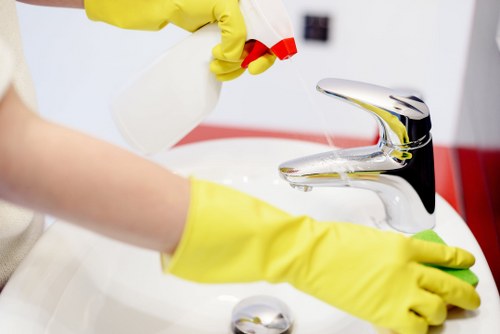Professional move in cleaning in a kitchen and cabinets