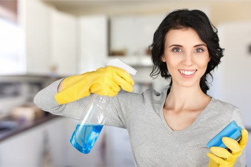 Step-by-step oven cleaning in Eastville service process