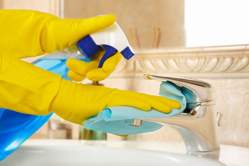 Professional deep cleaning tools arranged for home care