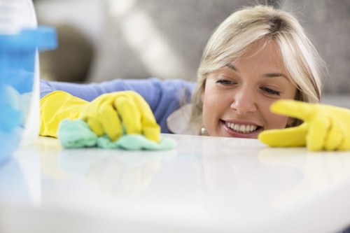 Bathroom being sanitized as part of a move out cleaning process