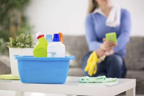 Deep cleaning in a hygienic bathroom with sparkling fixtures