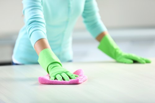 Bathroom deep cleaning with disinfecting supplies