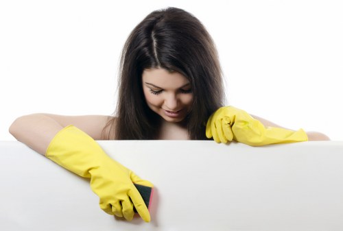 Eco-friendly domestic cleaning supplies arranged on a shelf