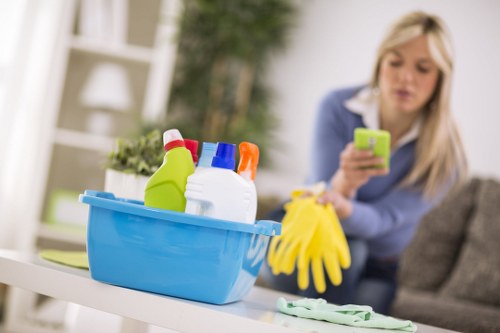 Professional cleaning tools used for tenancy cleaning